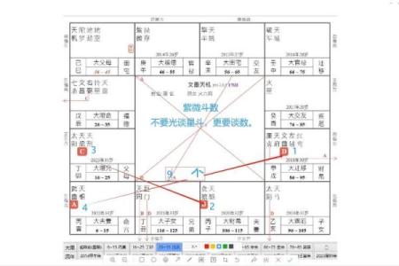 紫薇斗数梁派