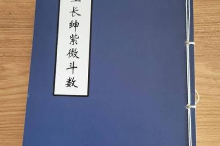 东派紫微斗数 东派紫微斗数王星东简介？