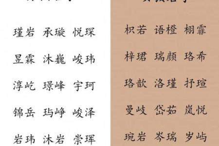 2019年6月17号寅时出生的男孩要怎么起名字姓名