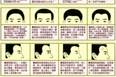 六害眉面相算命图解