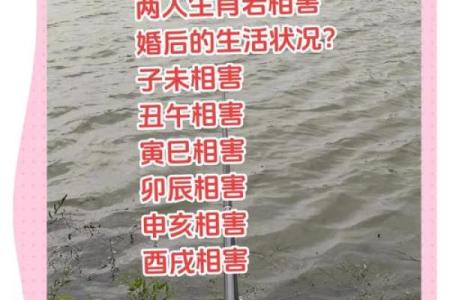 家破人亡的生肖配对在一起