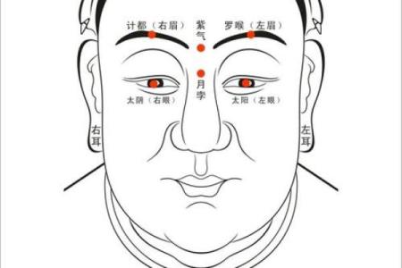算命看面