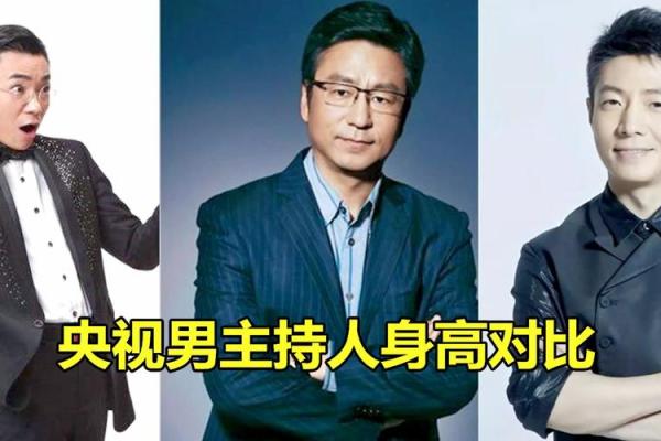白岩松八字,撒贝宁八字
