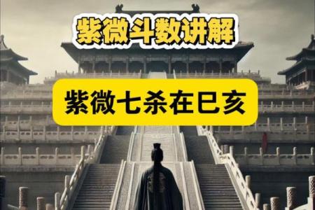 紫薇斗数七杀怕陀螺么