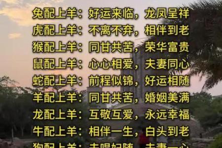 属马女性配对大揭秘：羊男VS狗男，成功婚姻密码在哪？