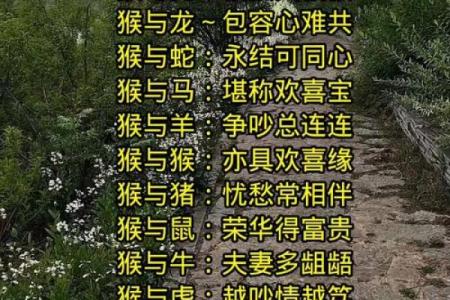 女猴男鸡生肖配对姻缘