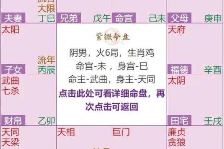 紫薇斗数子女宫性