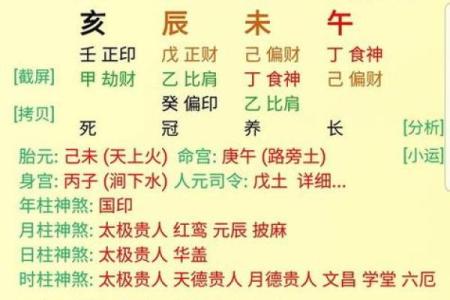 八字排盘如何看命