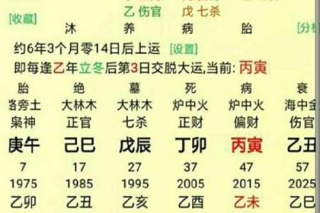 手机号码算命免费算命