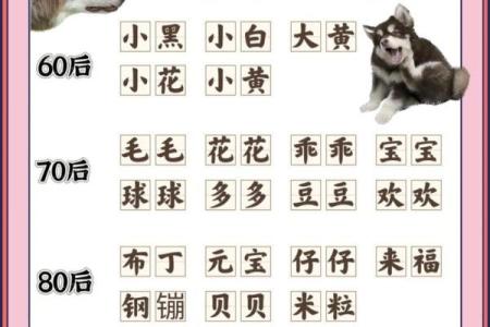 中午1点出生的属狗男孩如何取名，宜用什么字姓名
