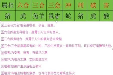 属猪的婚姻配对最佳 属猪的婚配宜忌
