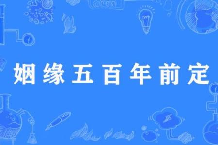 前世姻缘配对 前世姻缘分排定？