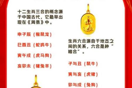 蛇跟什么生肖配对最好 生肖蛇最佳配对