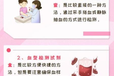 个人血型查询网 怎样查询个人血型
