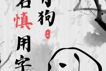 半夜出生的属狗男孩怎么取名，宜用什么字姓名