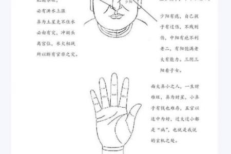颧骨面相算命