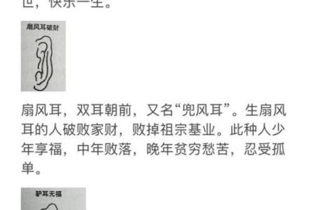 从面相看耳朵，耳朵面相算命图解