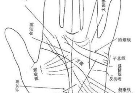 凯帝阿手相算命图解大全08