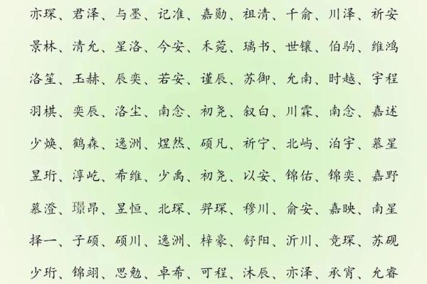 2019年5月24号寅时出生的男孩应该起什么样的名字姓名