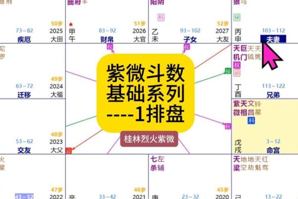 紫薇斗数青龙