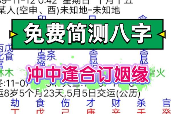 八字付费