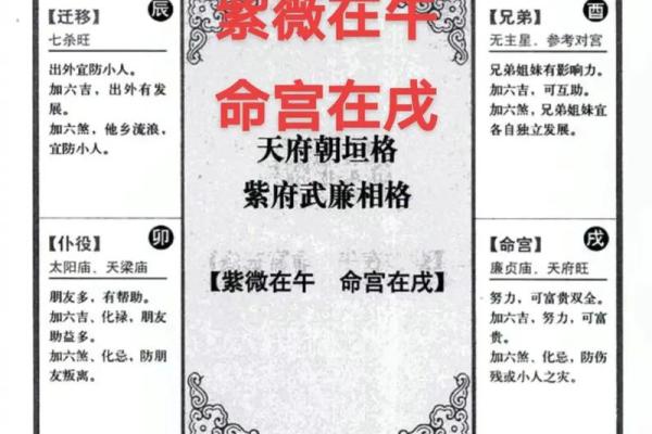 紫薇斗数看文化