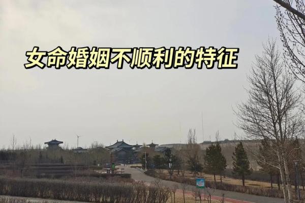 命里没有夫星的女人 八字女命看夫星