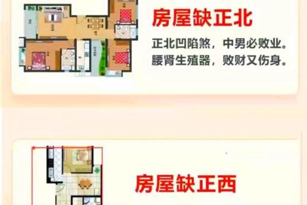 属牛可以住什么房子好风水
