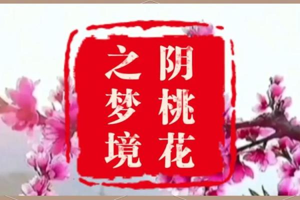 阴牌招桃花  算命中的阴桃花