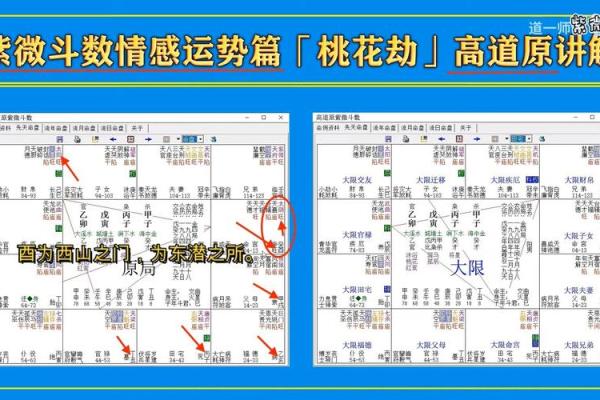 紫薇斗数桃花运