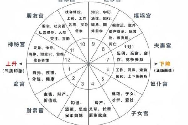 八字身宫解析及命盘分析方法详解