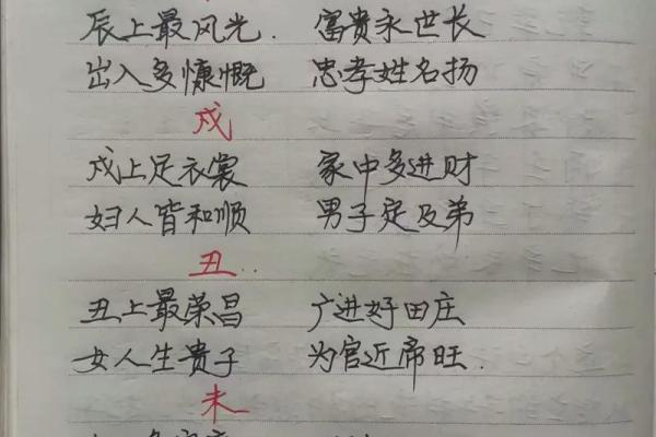 壬丙兼子午阳宅风水
