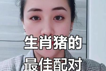 猪跟什么生肖配对最好 生肖猪最佳配对