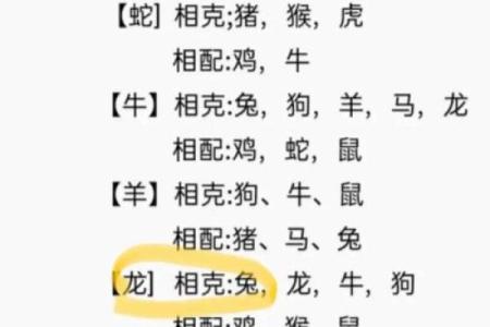 属龙姻缘配对