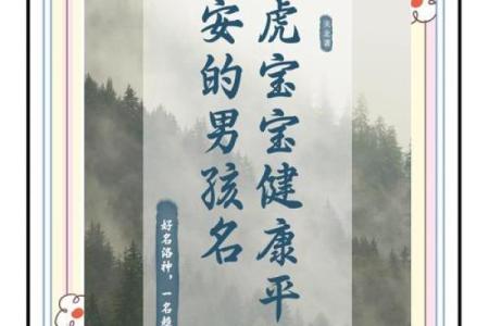 早上8点出生的属虎男孩如何起名，应用什么字姓名
