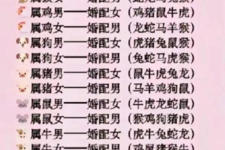 女马男蛇生肖配对姻缘