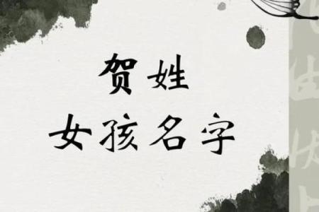 贺姓男孩名字大全-贺姓男孩起名字大全-贺姓名字大全姓名