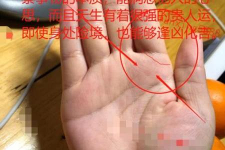 算命需要什么手续