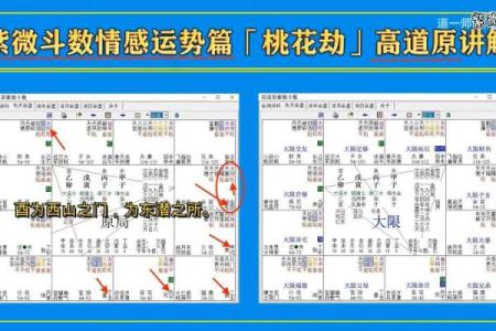 紫薇斗数桃花运
