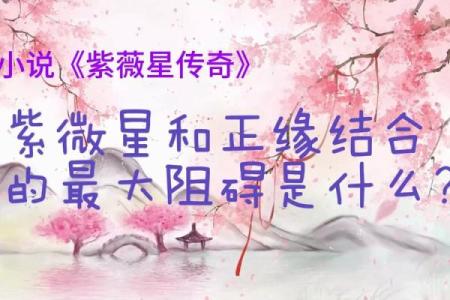紫薇星必须要与正缘结婚吗