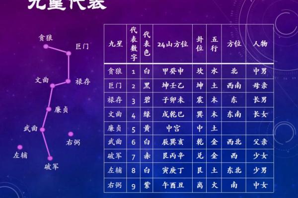 九星命理算命视频