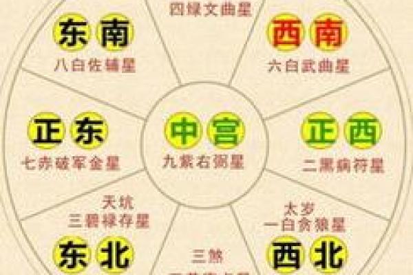九星命理算命视频