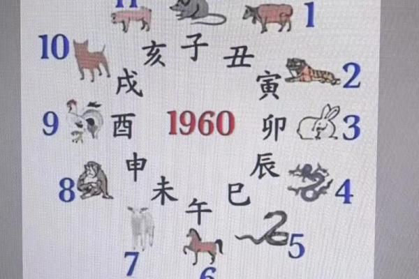 紫薇斗数下载软件