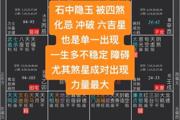 紫薇斗数如何看智慧