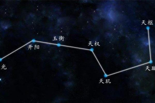 遮天之开局降生紫薇星域顶点