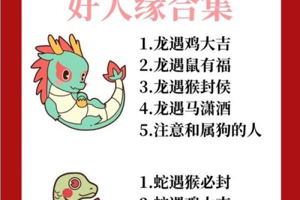 龙和老鼠属相合不合 龙和老鼠配对如何