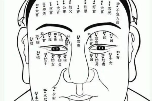 观音痣长在什么地方 男人长观音痣事业运旺盛
