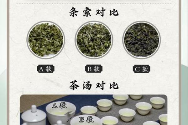 风水绿茶泡多久最佳多长时间最佳