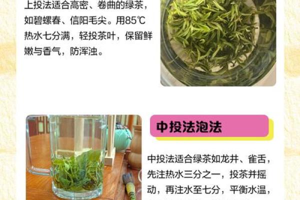 风水绿茶泡多久最佳多长时间最佳
