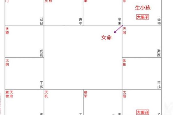 紫薇斗数离婚的